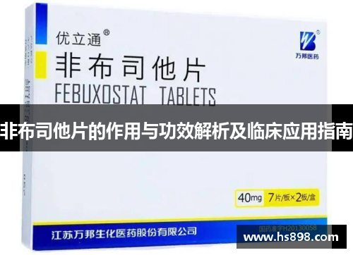 非布司他片的作用与功效解析及临床应用指南
